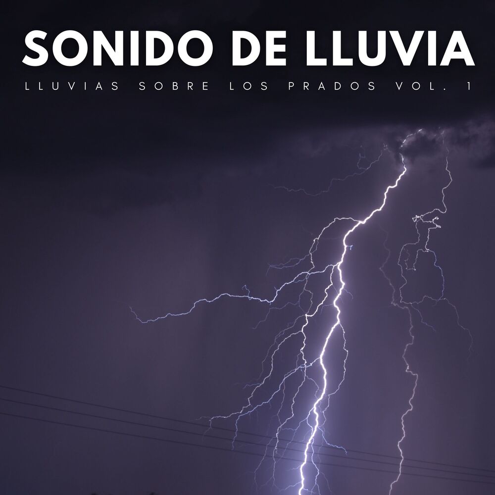 Picture of Sonido De Lluvia: Lluvias Sobre Los Prados Vol. 1