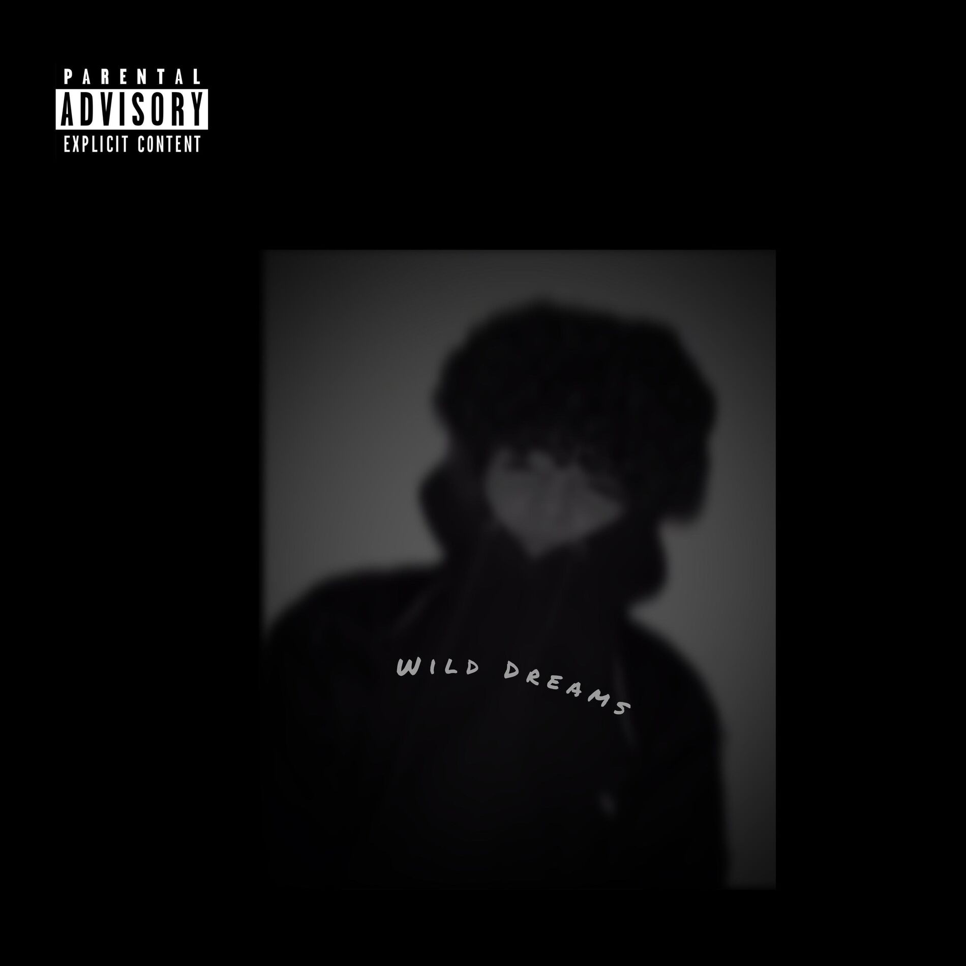 Album cover of wild dreams
