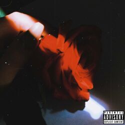 Cover of Backwards