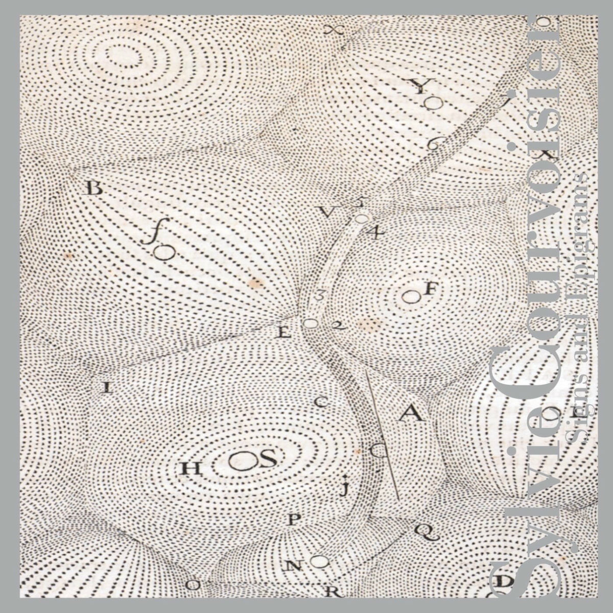 Album cover of Signs and Epigrams