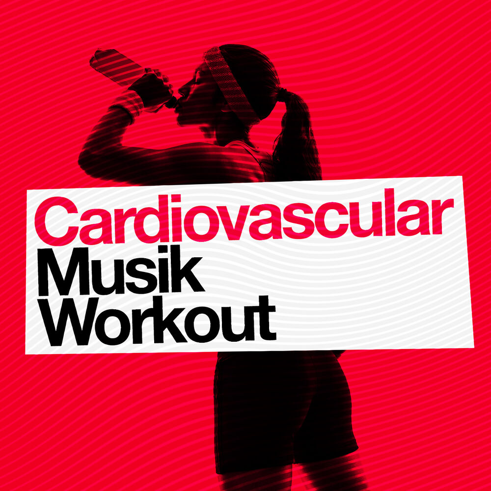Picture of Cardiovascular Musik Workout