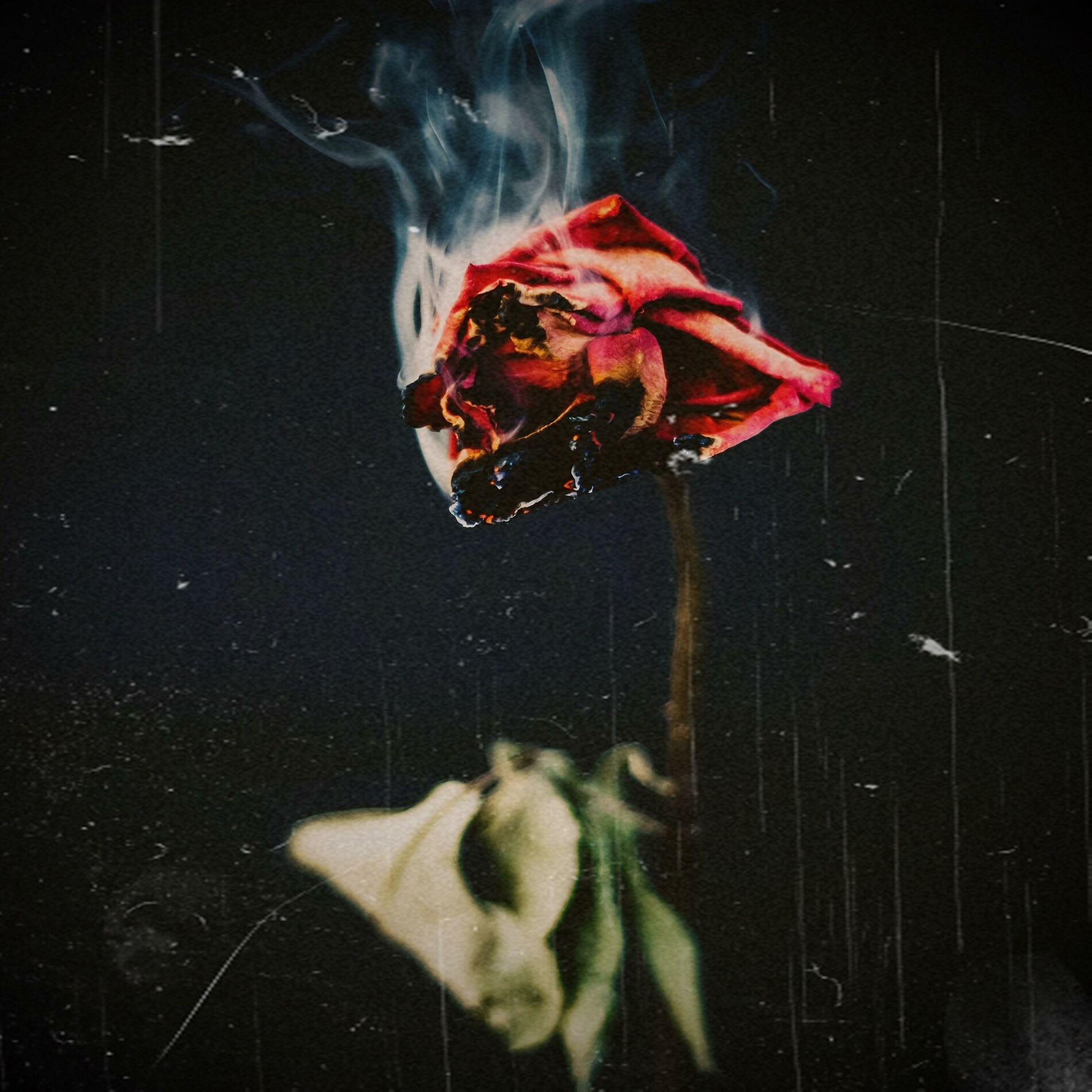 Album cover of Love You Anymore (feat. Seven) [Radio Edit]