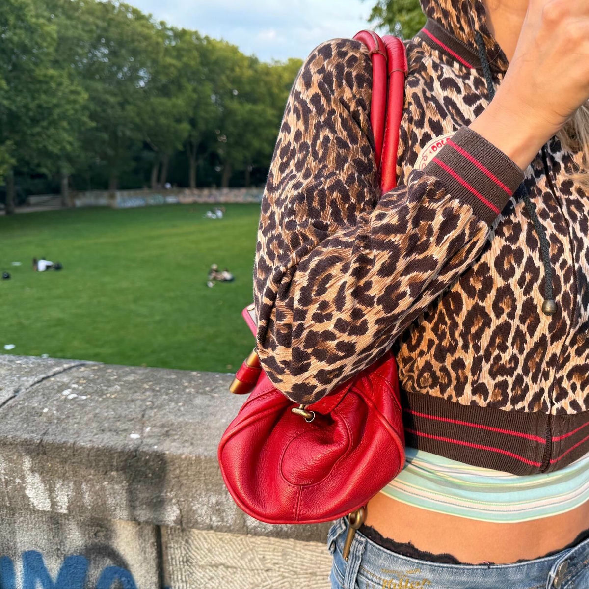 Album cover of Leopard