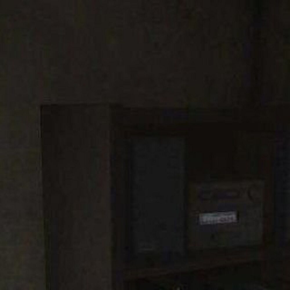 Picture of loner