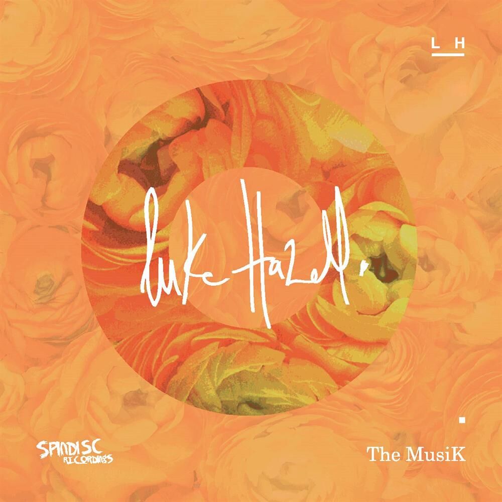 Picture of The Musik