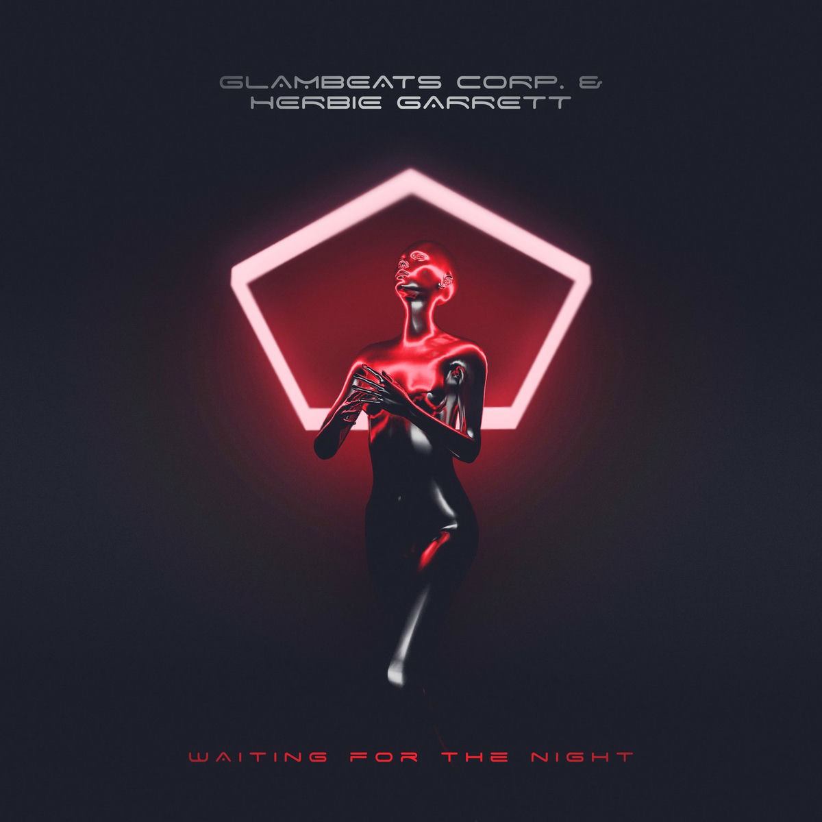 Album cover of Waiting for the Night