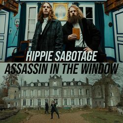 Cover of Assassin In The Window