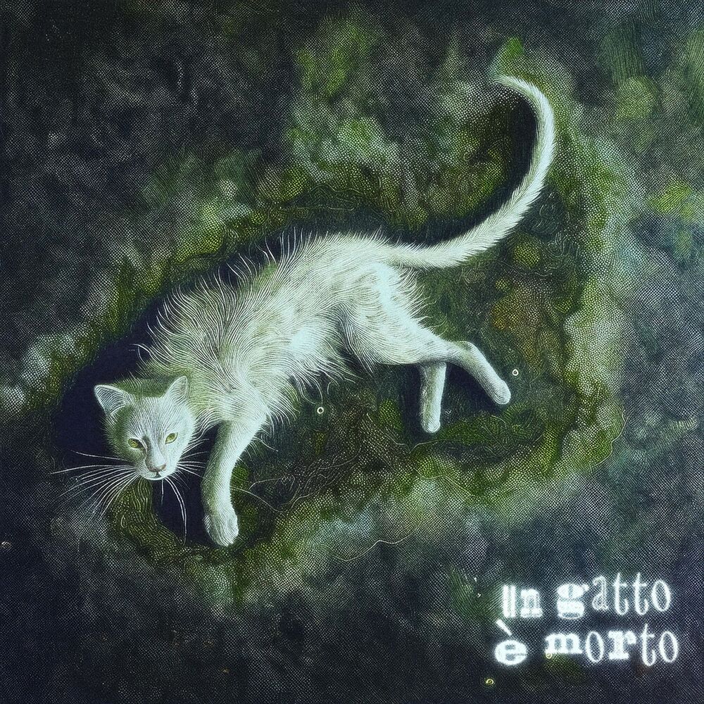 Picture of un gatto è morto
