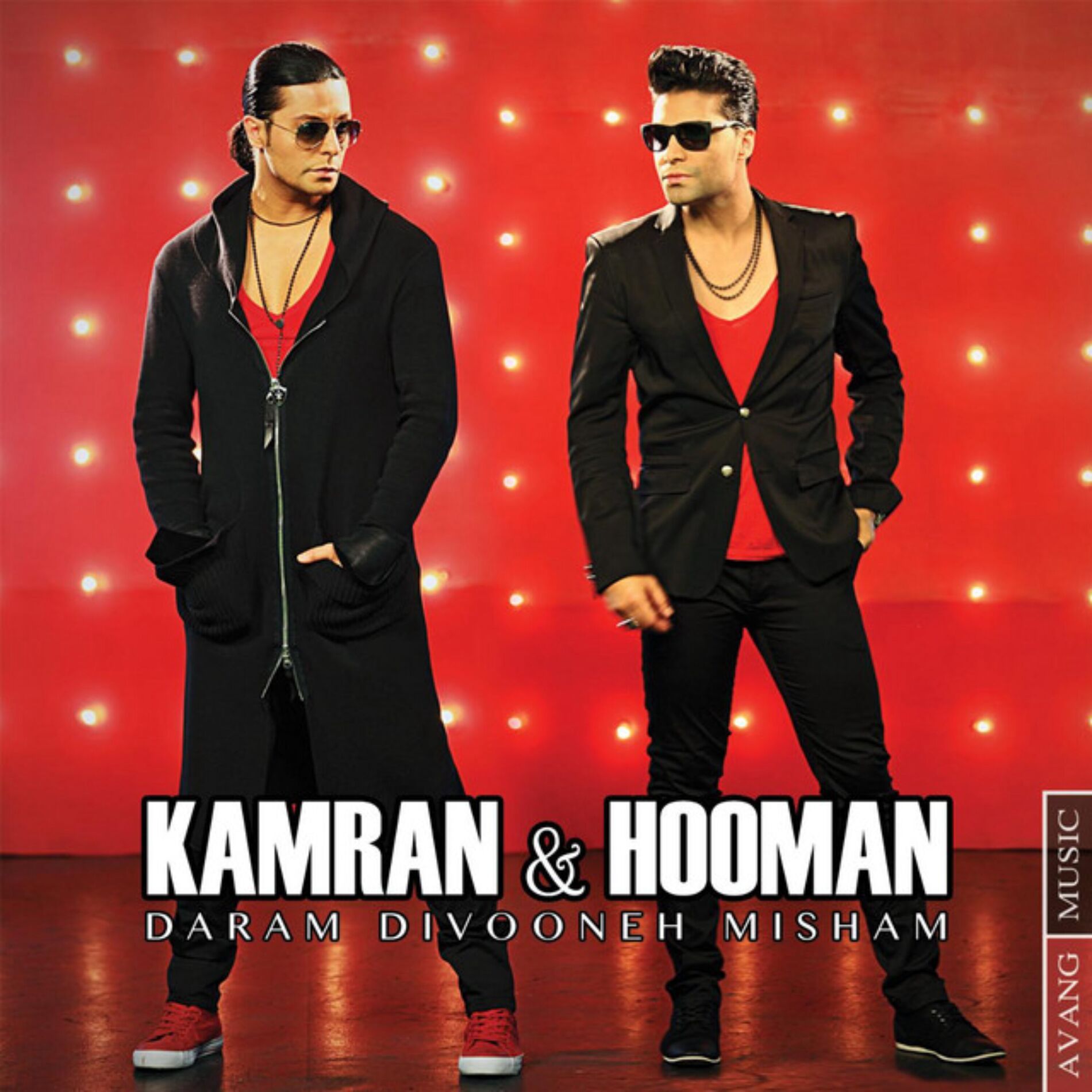 Album cover of Daram Divooneh Misham