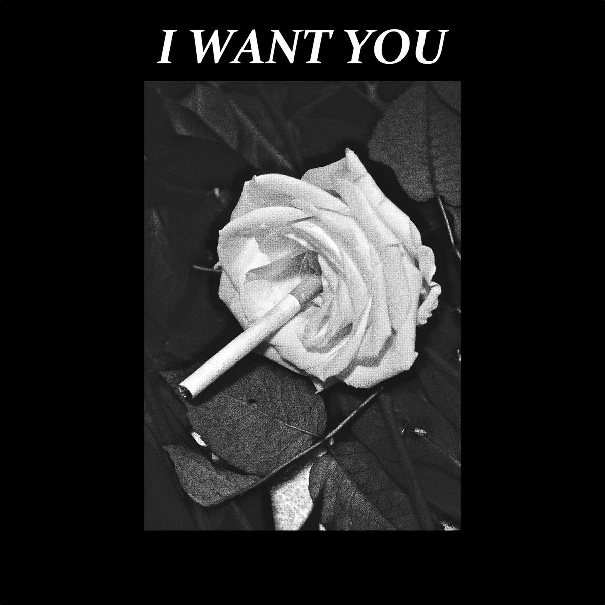 Album cover of I Want You