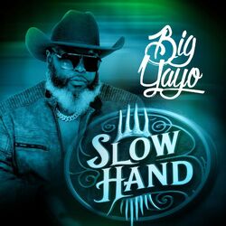 Cover of Slow Hand