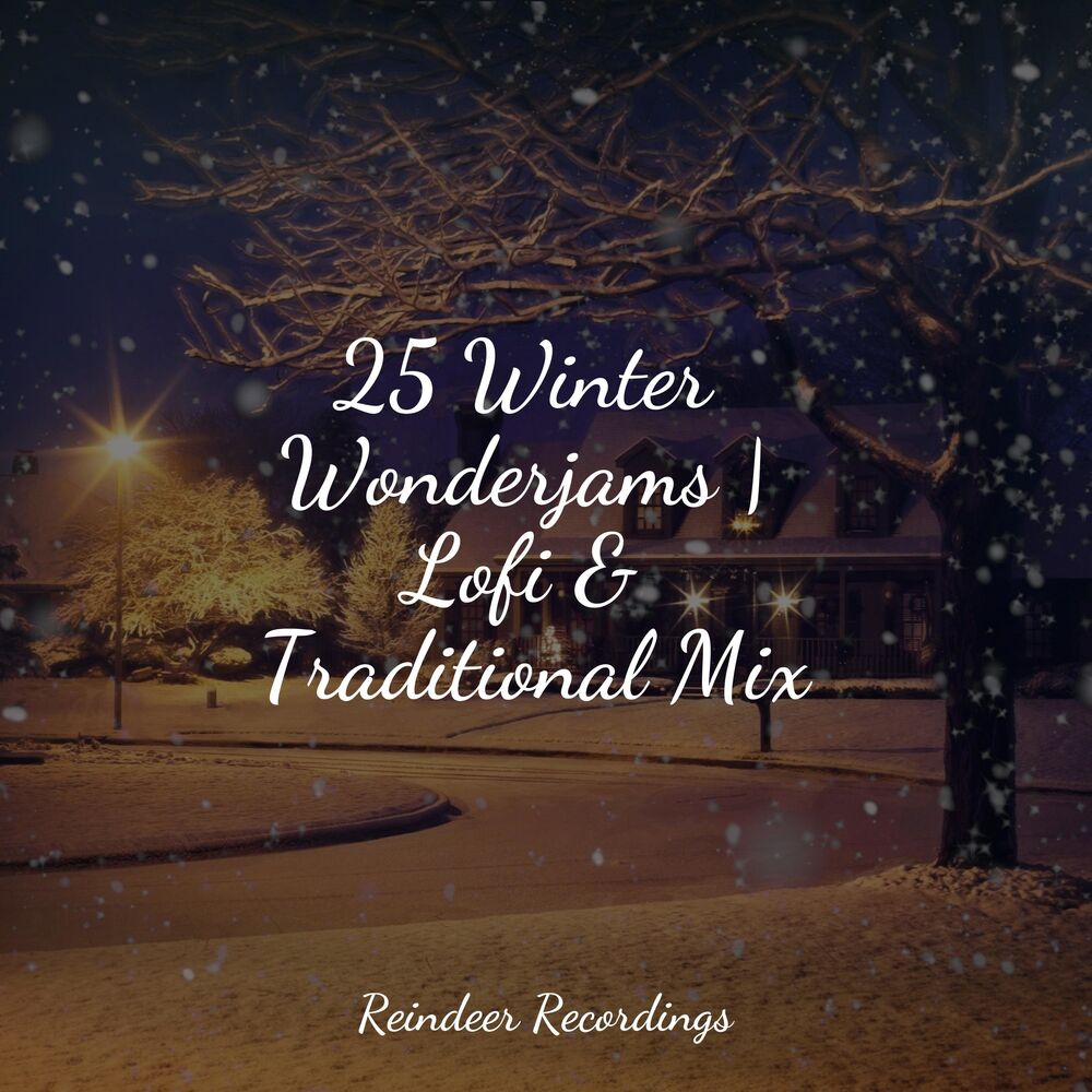 Picture of 25 Winter Wonderjams | Lofi & Traditional Mix