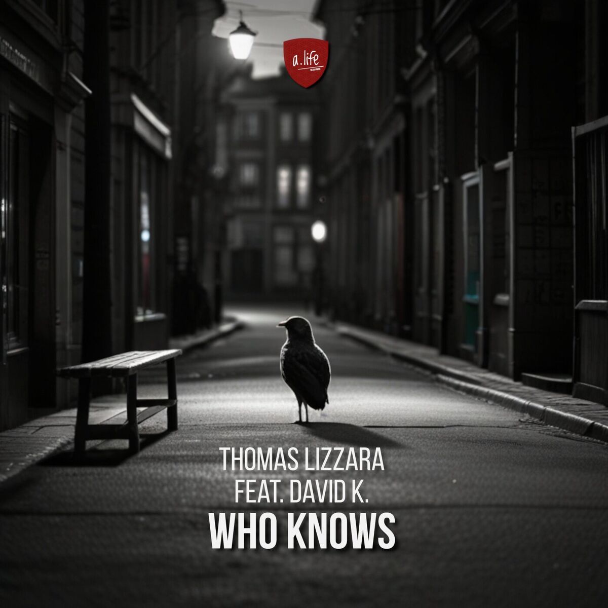 Album cover of Who Knows