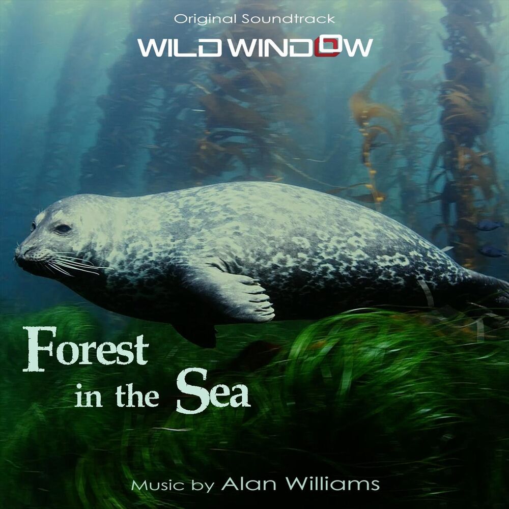 Picture of Wild Window: Forest in the Sea (Original Soundtrack)