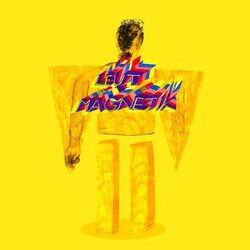 Cover of LEUT MAGNETIK