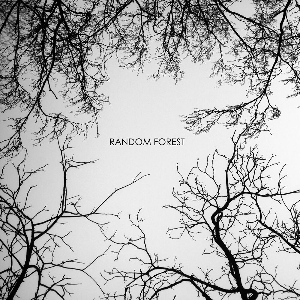 Picture of Random Forest
