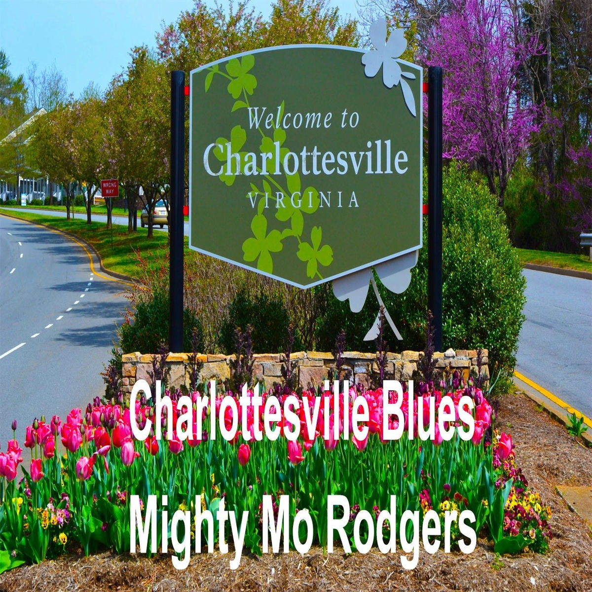 Album cover of Charlottesville Blues