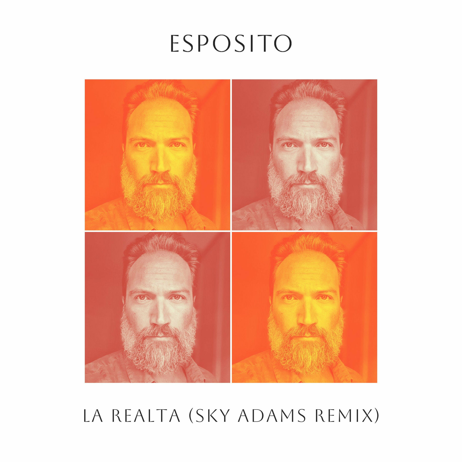 Album cover of La Realta (Sky Adams Remix)