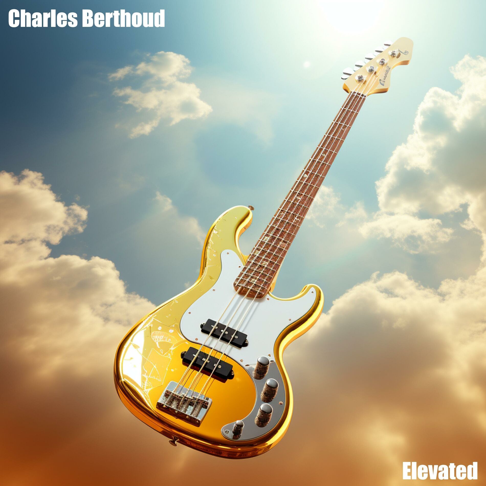 Album cover of Elevated