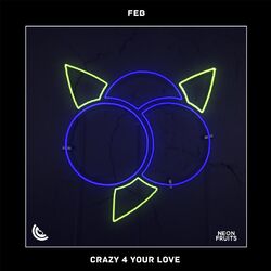 Cover of Crazy 4 Your Love