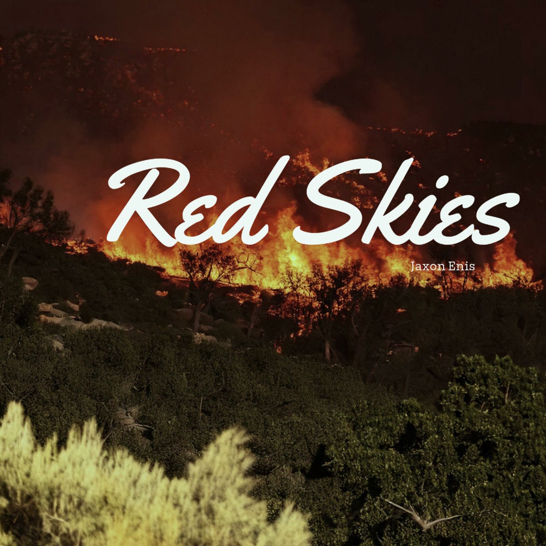 Album cover of Red Skies (feat. Jacob Vallen)