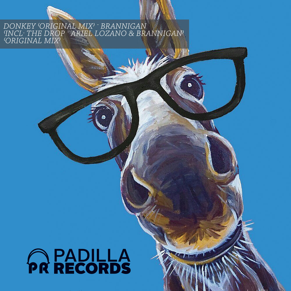 Picture of Donkey EP