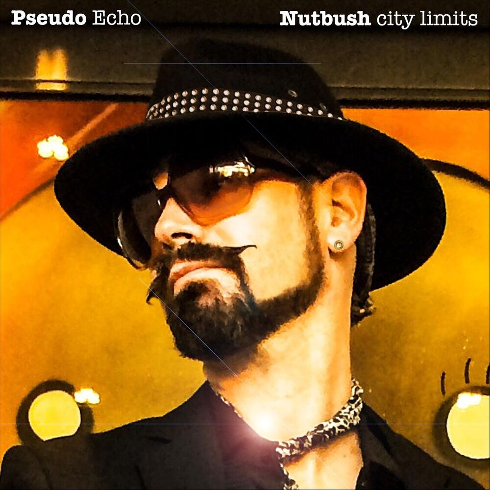 Picture of Nutbush City Limits