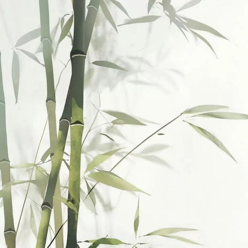 青丝