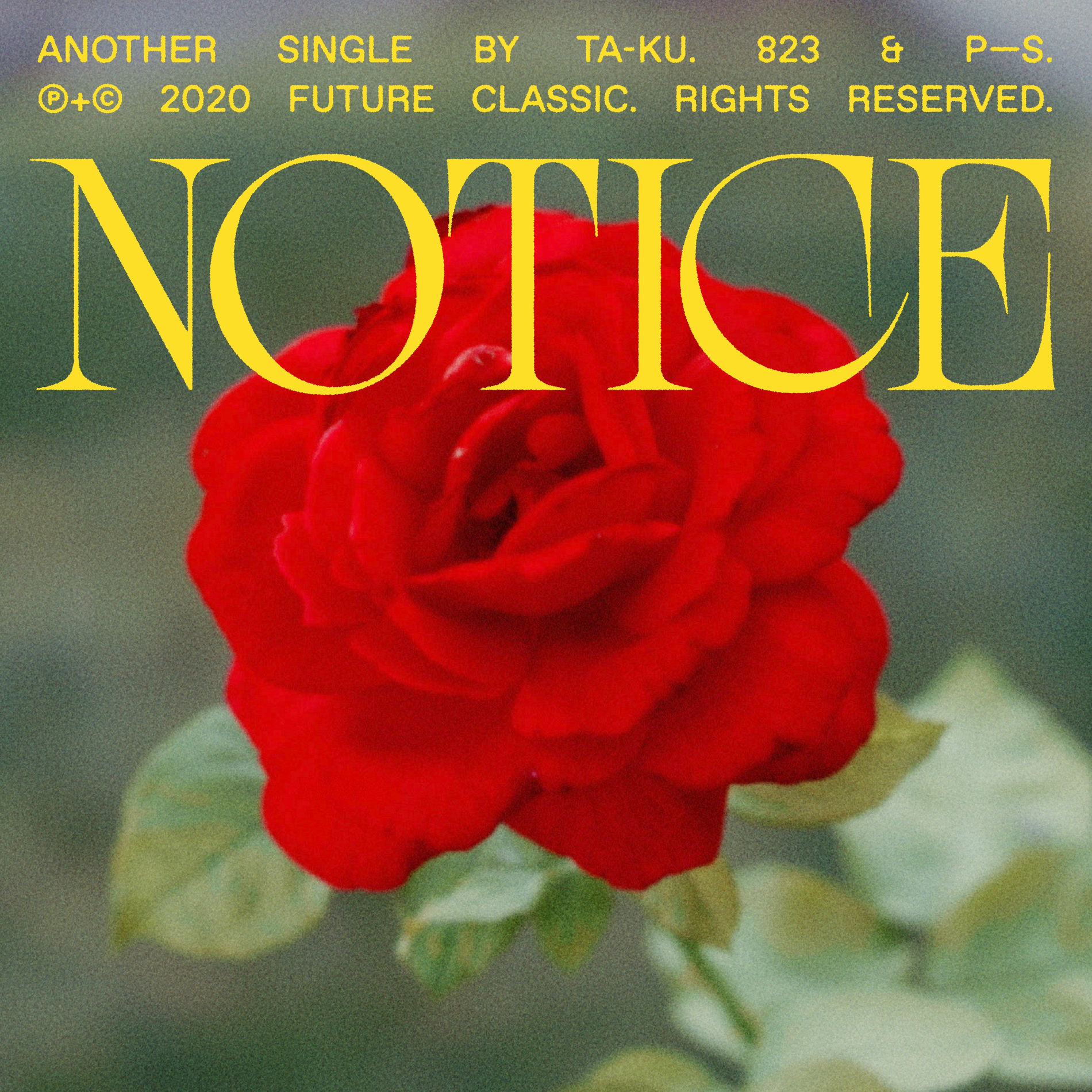 Album cover of Notice