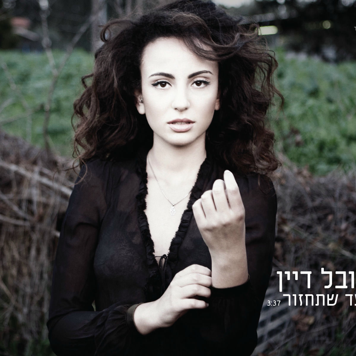 Album cover of עד שתחזור