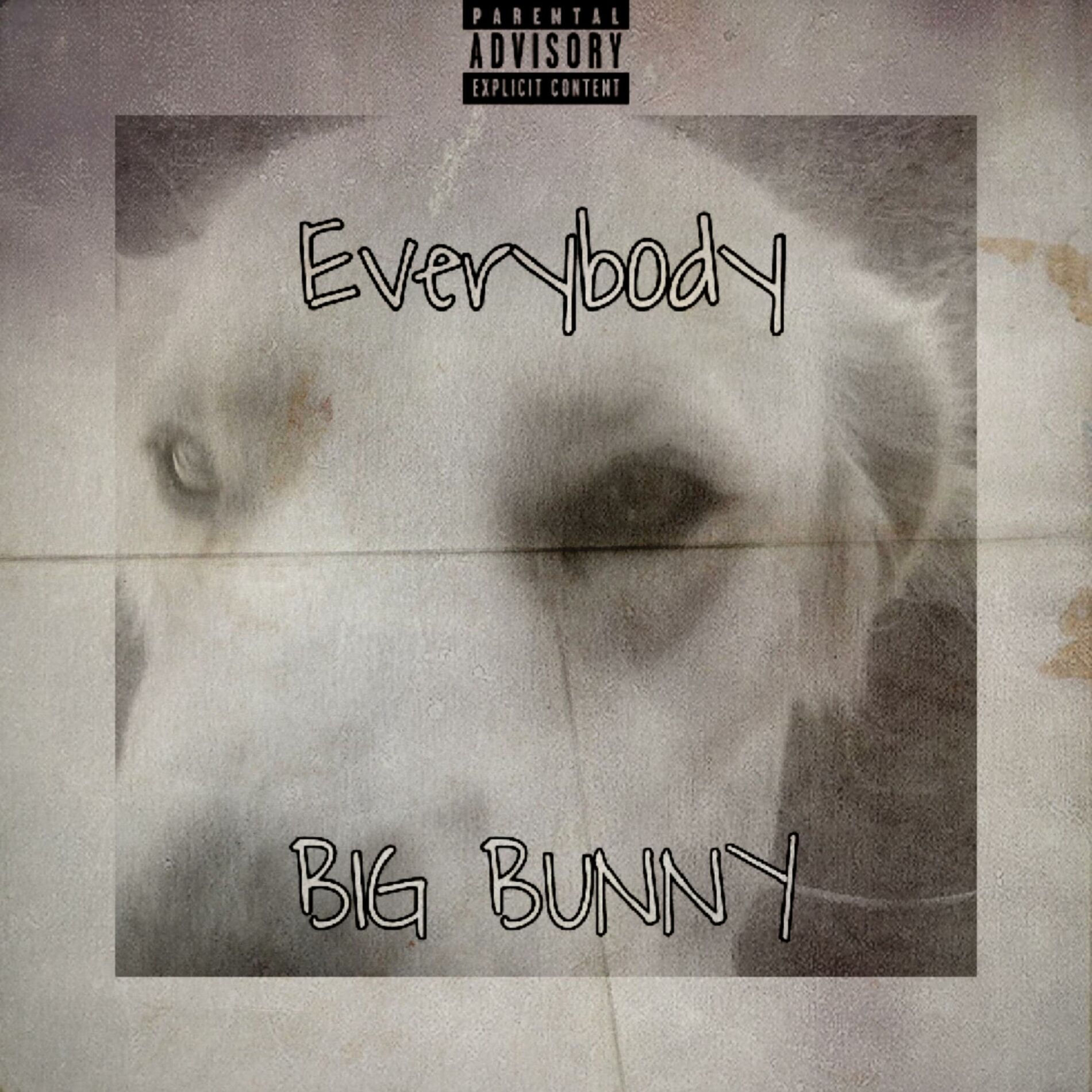 Album cover of Everybody