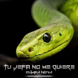 Cover of Tu Jefa No Me Quiere