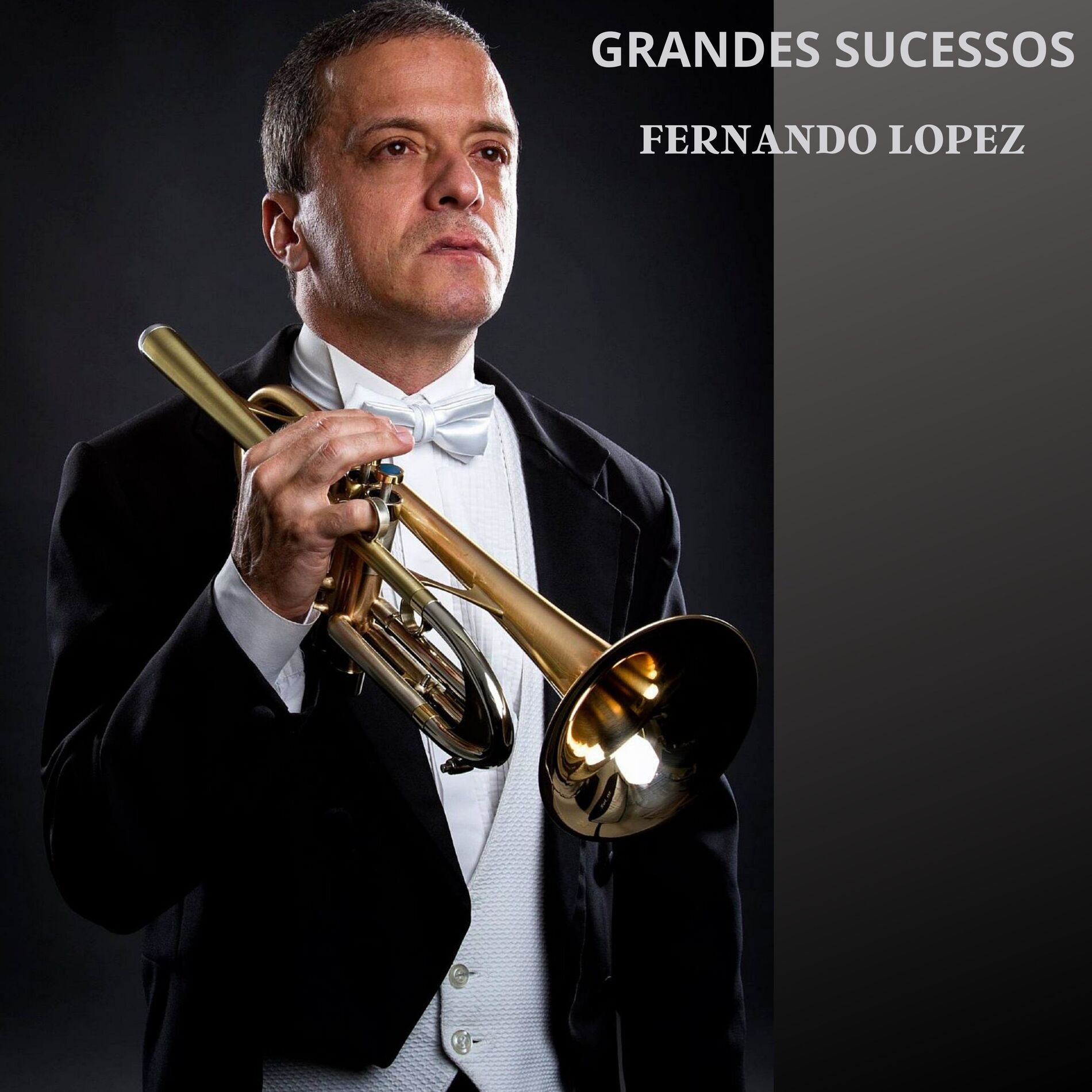 Album cover of Grandes Sucessos