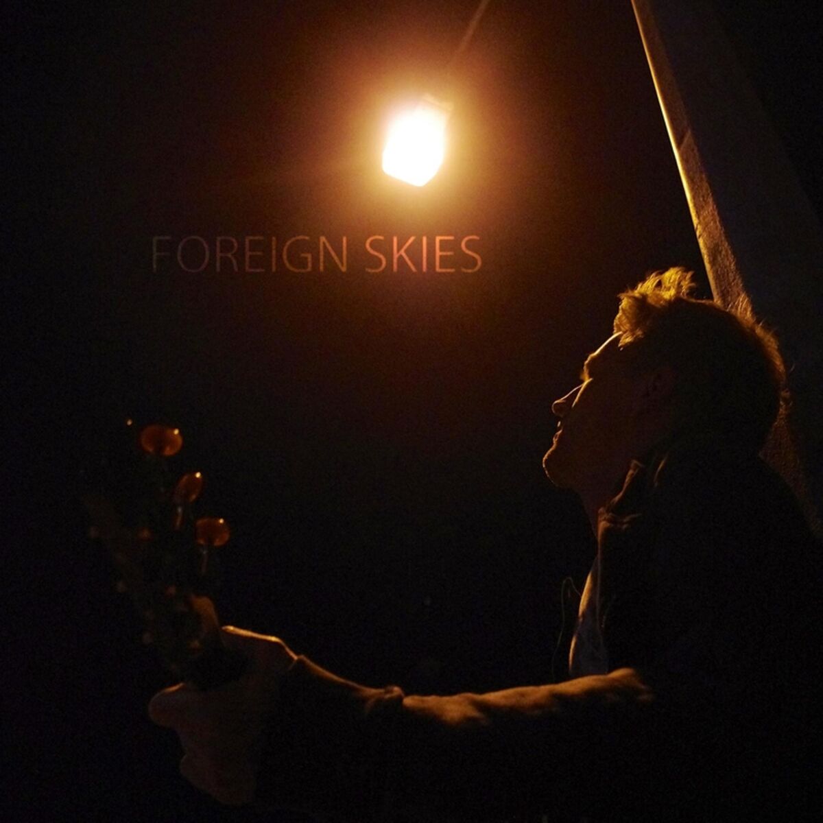 Album cover of Foreign Skies