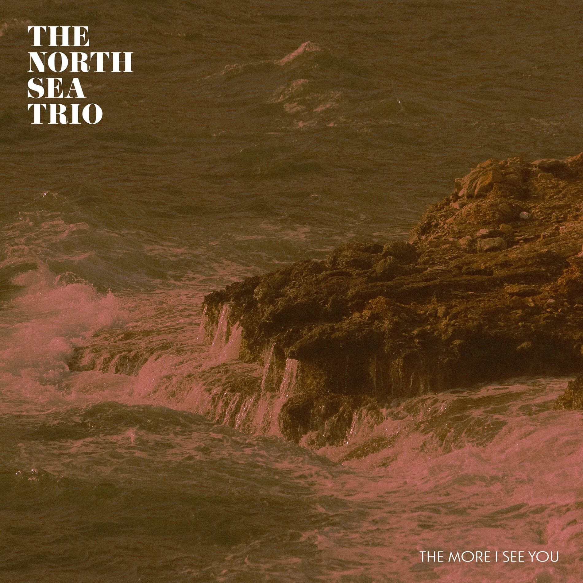 Album cover of The More I See You