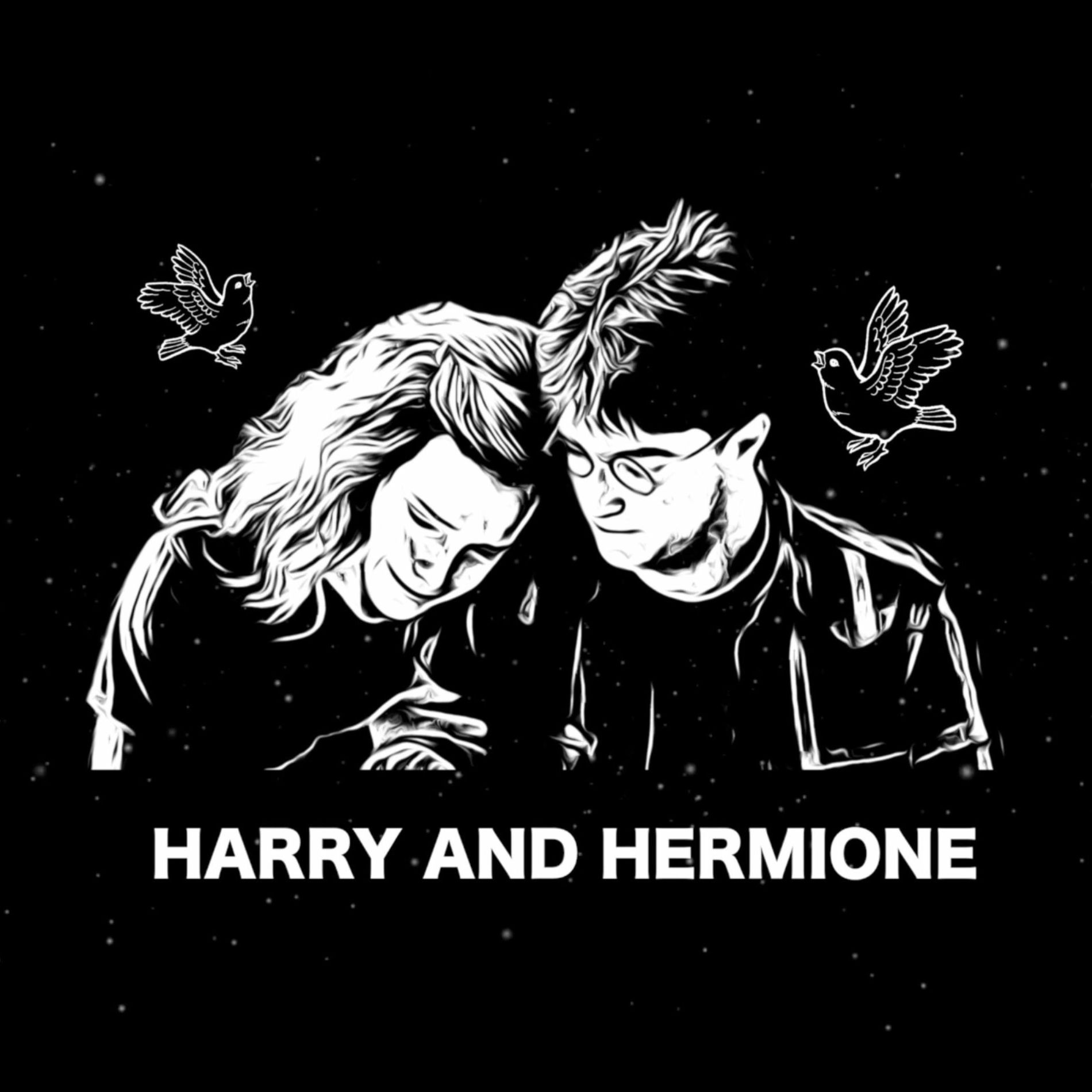 Album cover of Harry and Hermione (Harry Potter and the Half Blood Prince)