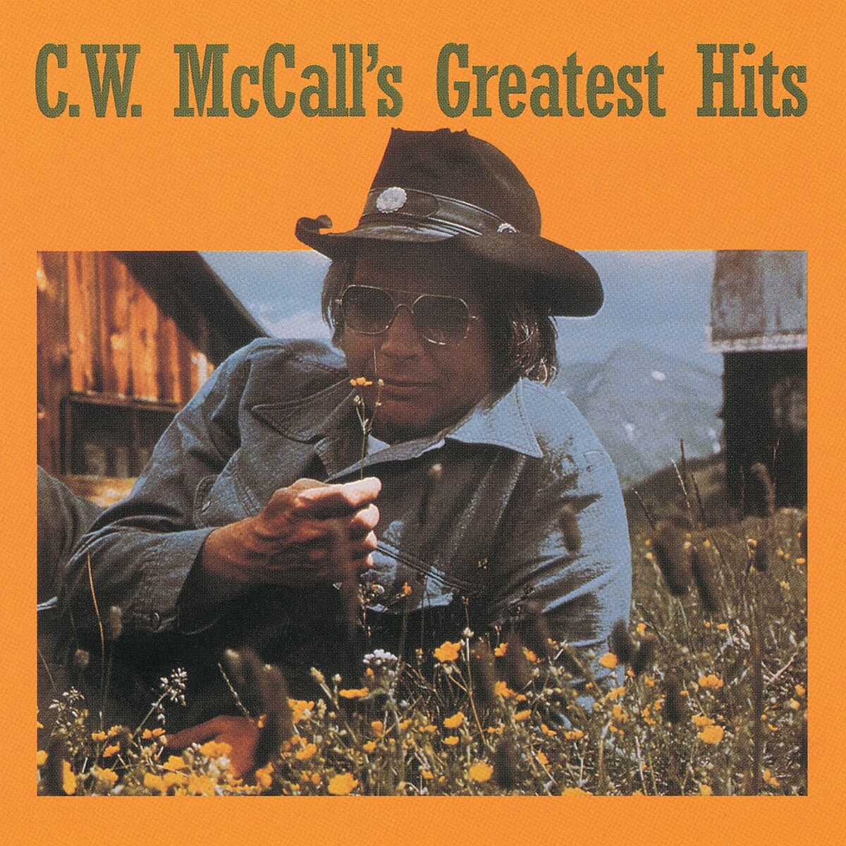 Album cover of C.W. McCall's Greatest Hits