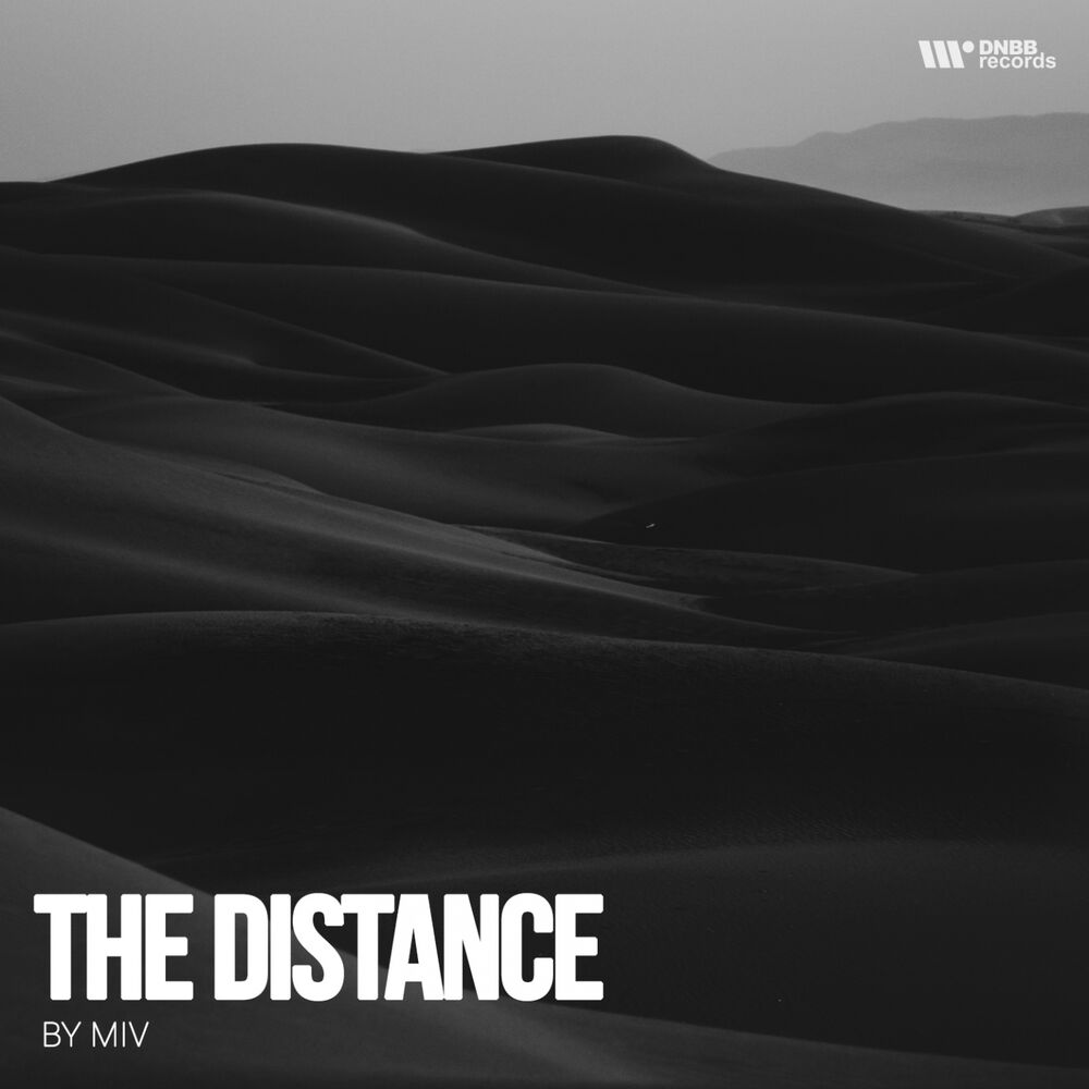 Picture of The Distance