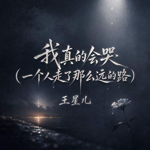 我真的会哭(一个人走了那么远的路)