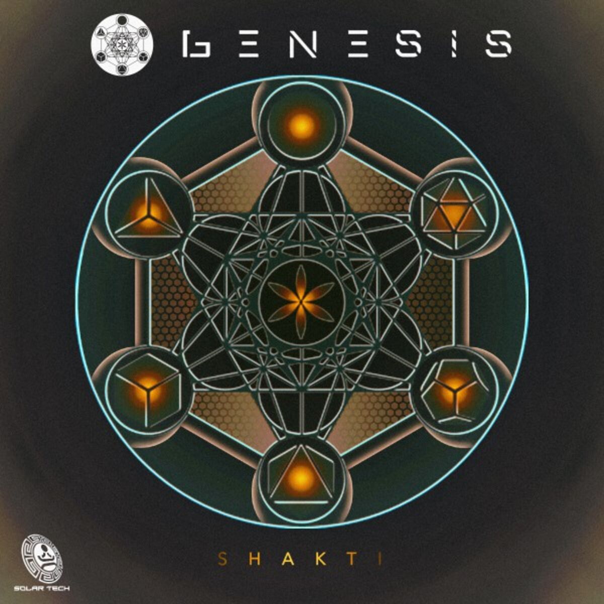 Album cover of Shakti