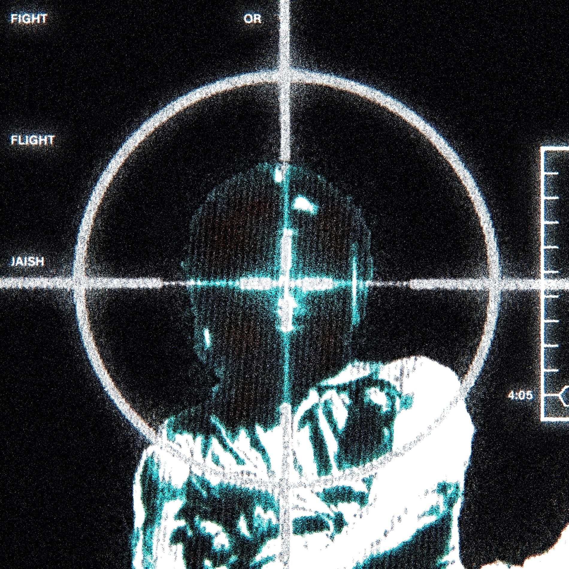 Album cover of Fight or Flight