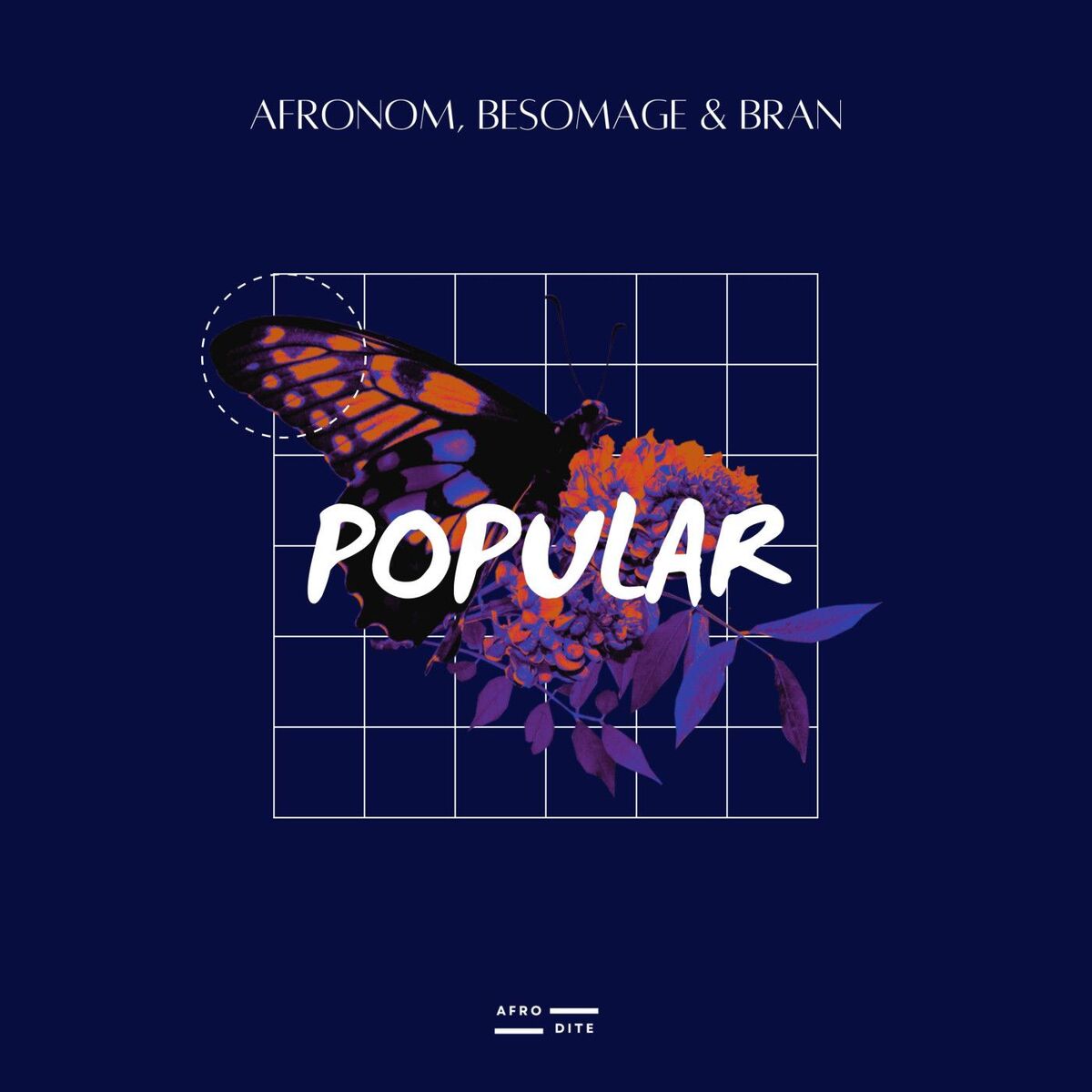Album cover of Popular