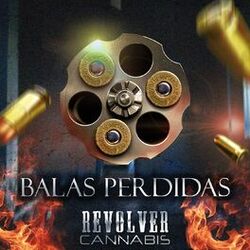 Cover of Balas Perdidas