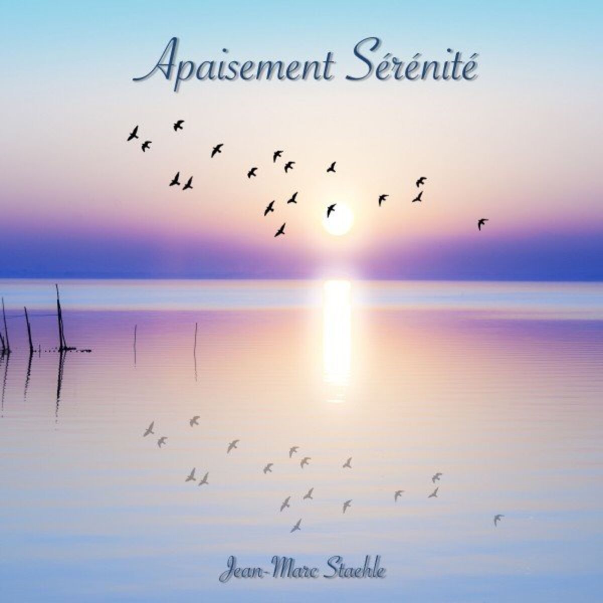 Album cover of Apaisement sérénité