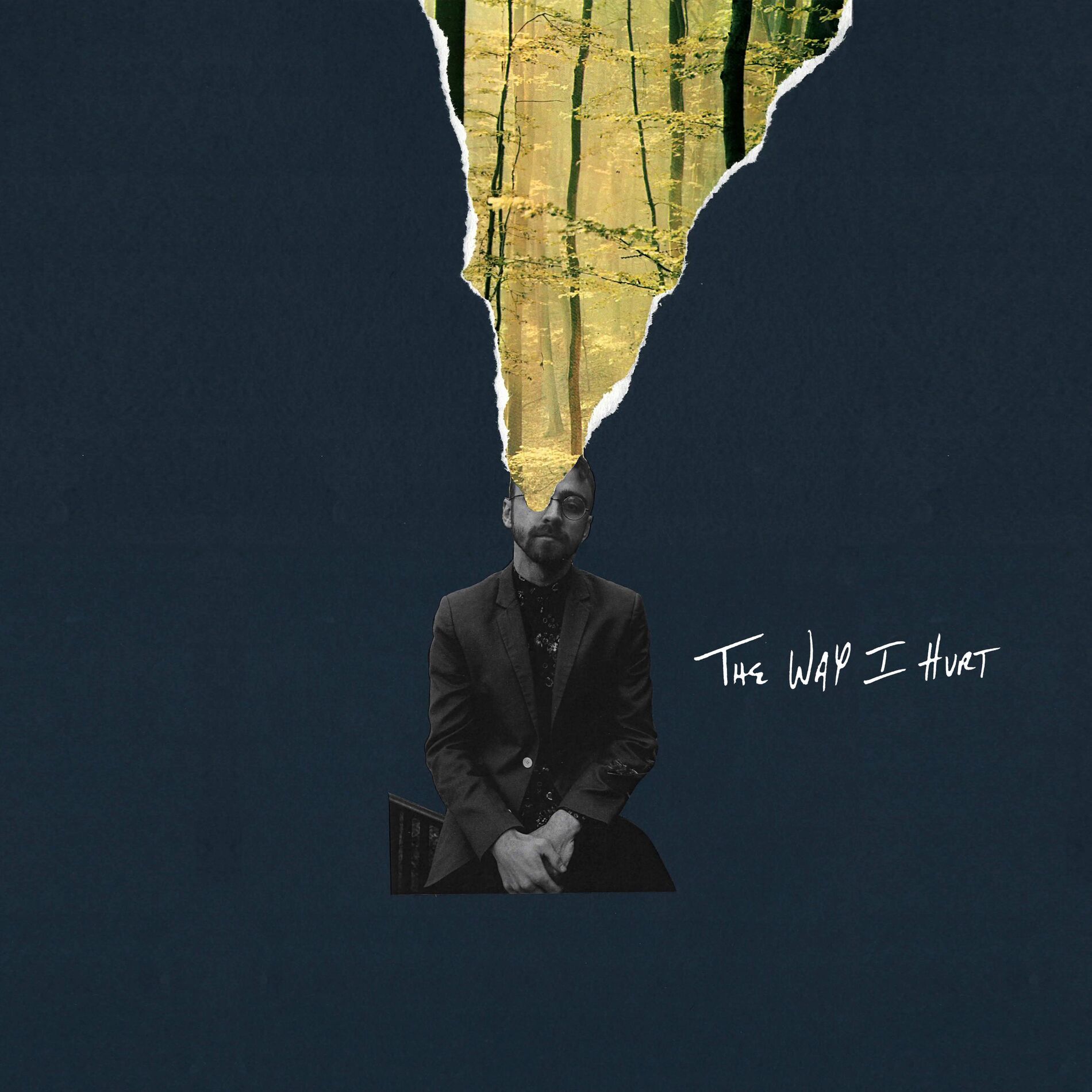 Album cover of The Way I Hurt