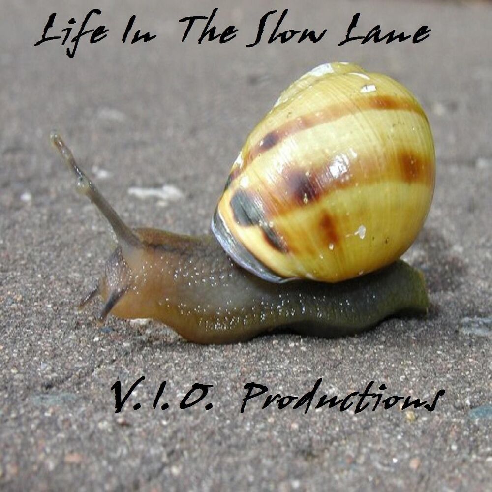Picture of Life In The Slow Lane