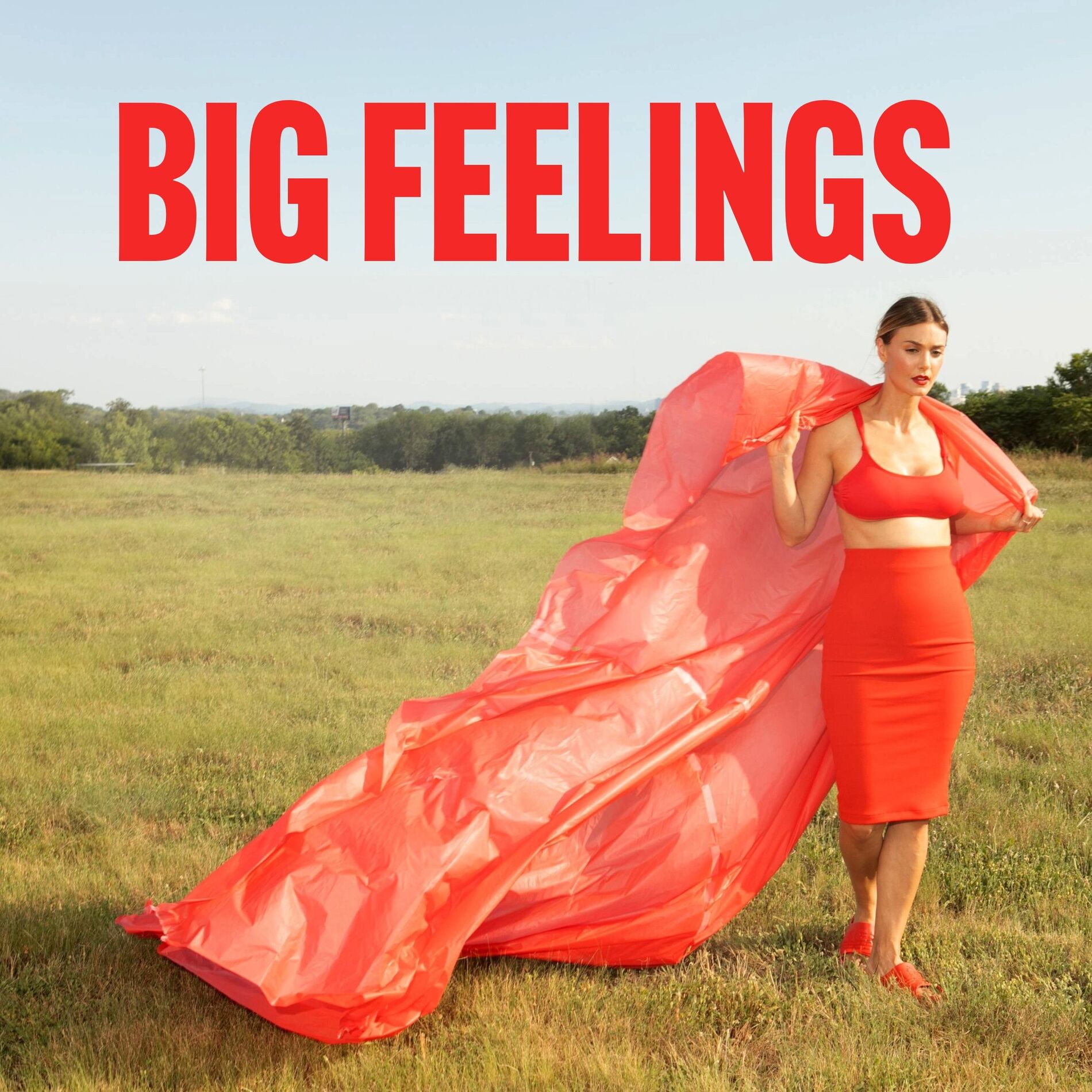 Album cover of Big Feelings