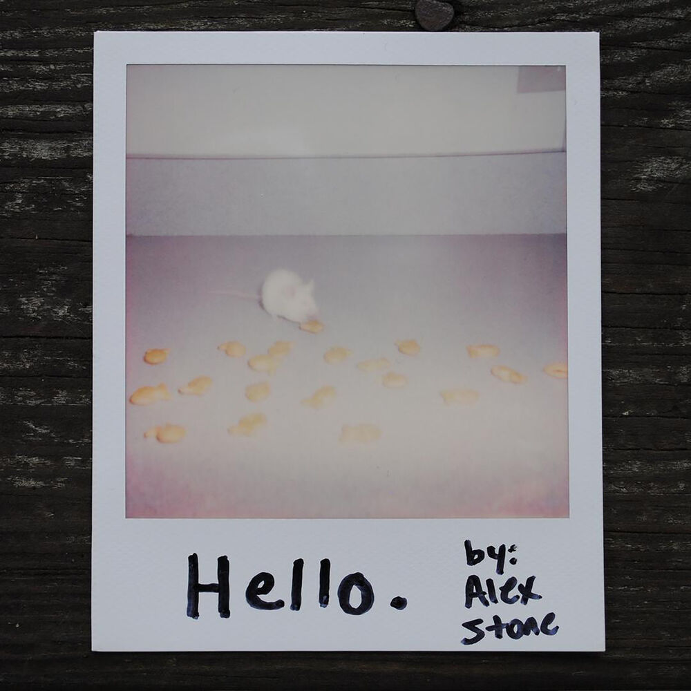 Picture of Hello.