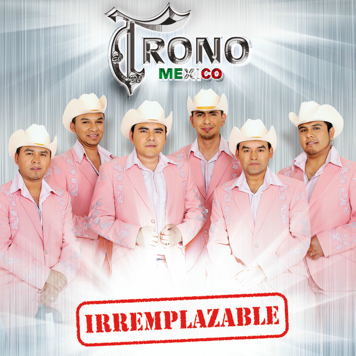 Album cover of Irremplazable