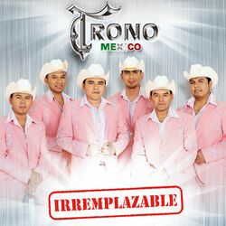 Cover of Irremplazable